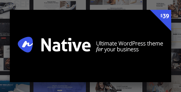 Native 1.5.4 – Stylish Multi-Purpose Creative WP Theme GPL FREE Download
