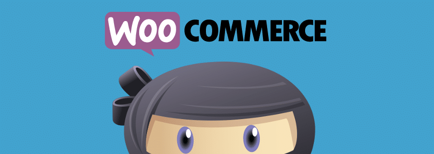 WPAdverts 1.6.2 - WooCommerce Integration Addon Download